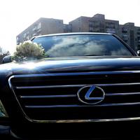 LEXUS