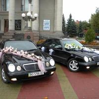 ВЕСІЛЬНИЙ КОРТЕЖ MERCEDES-BENZ W210 (ОЧКАРИК)