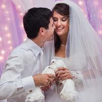 RomArt studio