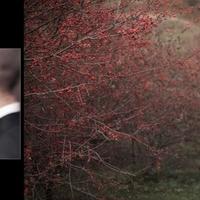 Teksomolika&#039;s Photography