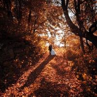 Teksomolika&#039;s Photography