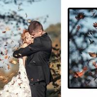 Teksomolika&#039;s Photography