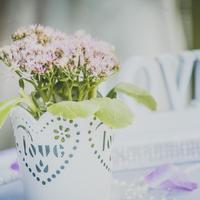 Wedding Art Film