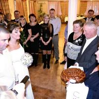 Альона тамада у Вінниці