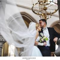 Андрій Шевчук