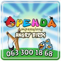 Angry Birds Live