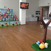 Angry Birds Live