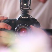 Art Film Studio