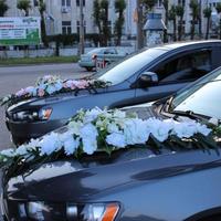 Авто на прокат
