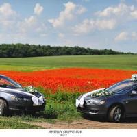 Авто на прокат