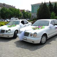 Автокортеж "Mercedes W210" (0672875113)