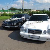 Автокортеж "Mercedes W210" (0672875113)