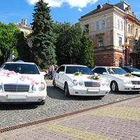Автокортеж "Mercedes W210" (0672875113)