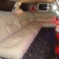 bestlimo