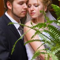 Студія "RoyalWed"