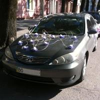 CamryCortege