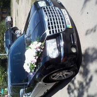 Элитное авто 80грн/час