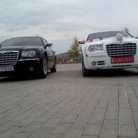 Элитное авто 80грн/час