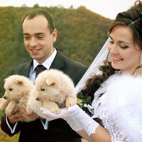 Фотограф на ваше свято