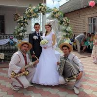 гурт Куми