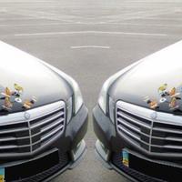 Прокат Mercedes-Benz E350 на весілля