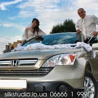 SiLK_Studio