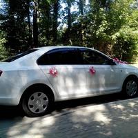 Skoda RAPID 2014 рік 130грн.година