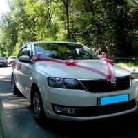 Skoda RAPID 2014 рік 130грн.година