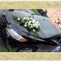 стас 0992255677