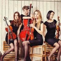 Струнний квартет «Black Tie»