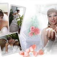 Studia Syhiv