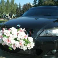 Прокат свадебного автомобиля, Иван
