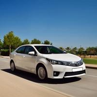 Свадебная Toyota Corolla 2013