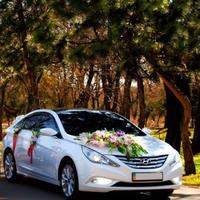 Шикарная Hyundai Sonata с МЫЛЬНЫМИ ПУЗЫРЯМИ НА АВТ