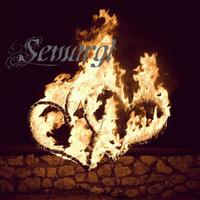 ВОГНЯНЕ ШОУ від театру вогню "SEMARGL" м.Тернопіль