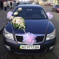 Тібі Skoda Octavia