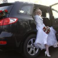Весільні перевезення на HYUNDAI SANTA FE