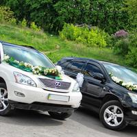 ДЖИПИ "LEXUS", БІЛИХ та ЧОРНИХ кольорів, від 200 г