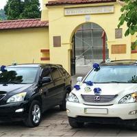 ДЖИПИ "LEXUS", БІЛИХ та ЧОРНИХ кольорів, від 200 г