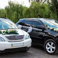 ДЖИПИ "LEXUS", БІЛИХ та ЧОРНИХ кольорів, від 200 г