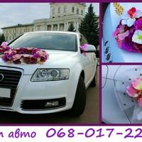 Весільний кортеж Audi A6 ХМЕЛЬНИЦЬКИЙ
