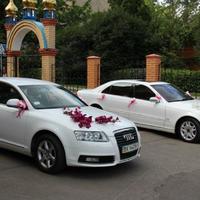Весільний кортеж Audi A6 ХМЕЛЬНИЦЬКИЙ