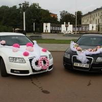 Весільний кортеж Audi A6 ХМЕЛЬНИЦЬКИЙ