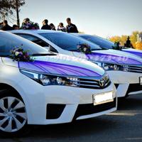 Весільний кортеж TOYOTA