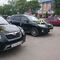 Весільний кортеж Нyundai Santa Fe