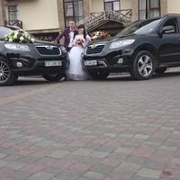 Весільний кортеж Нyundai Santa Fe