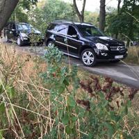 Весільний кортеж на Ваше свято