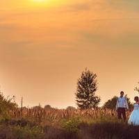 wedstories