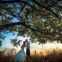 wedstories