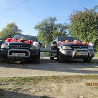 Mercedes Benz ML - трансфер